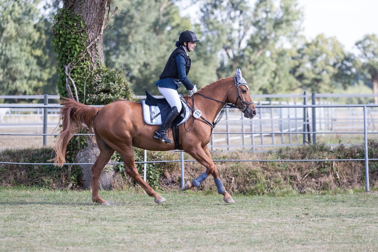 Bild 16 - Pony Akademie Turnier